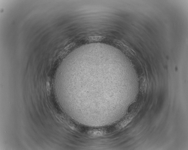 X0000078280655200611251419