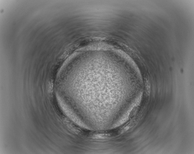 X0000078280657200611251419