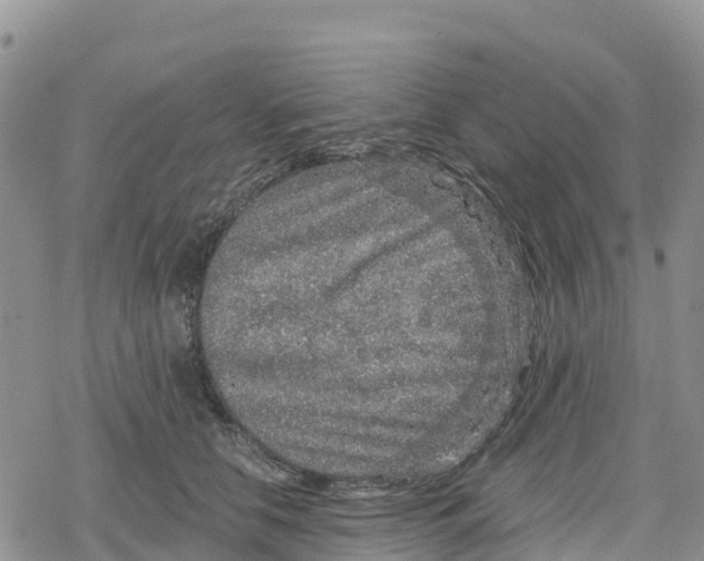 X0000078280658200611251419