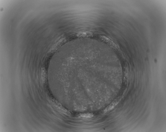 X0000078280659200611251419