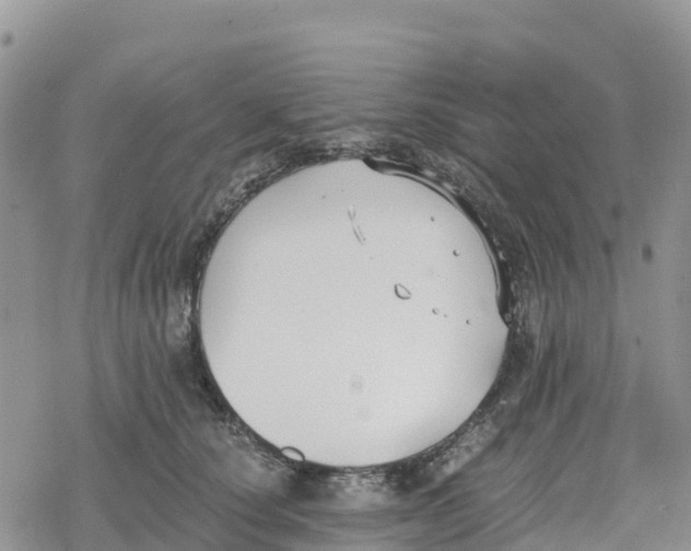 X0000078280660200611251419