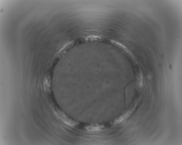 X0000078280661200611251419