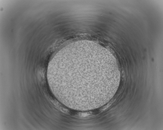 X0000078280662200611251419