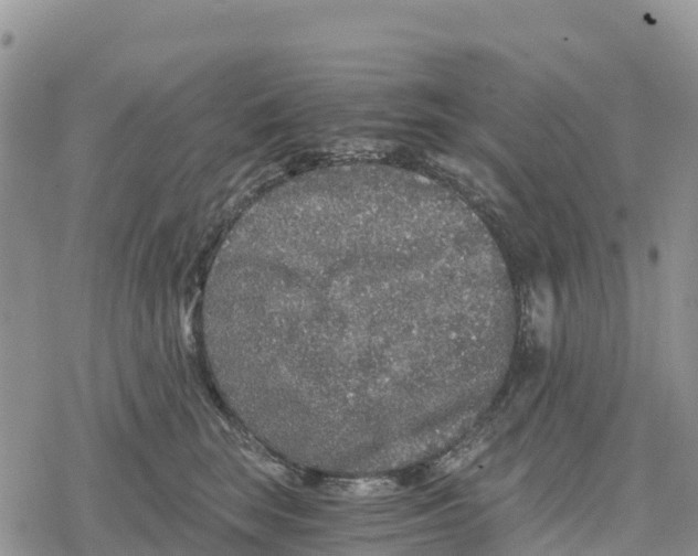 X0000078280663200611251419