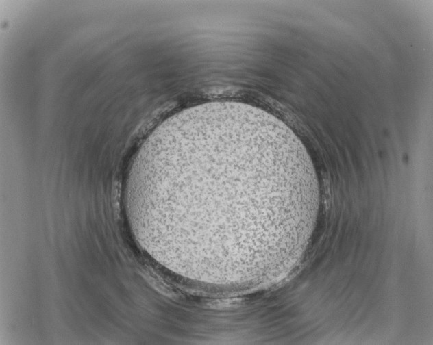 X0000078280664200611251419