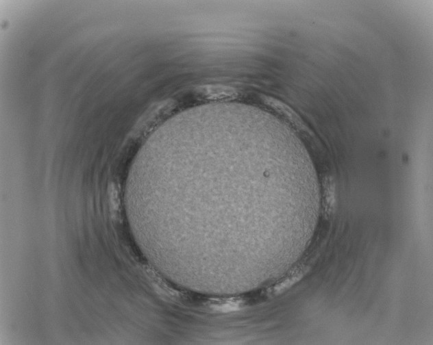 X0000078280667200611251419