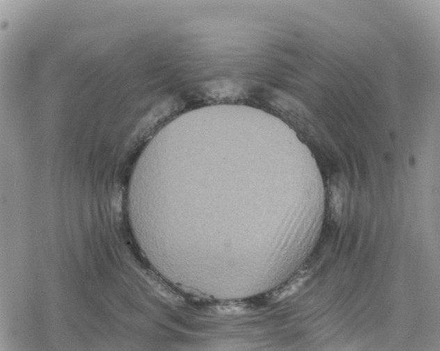 X0000078280668200611251420