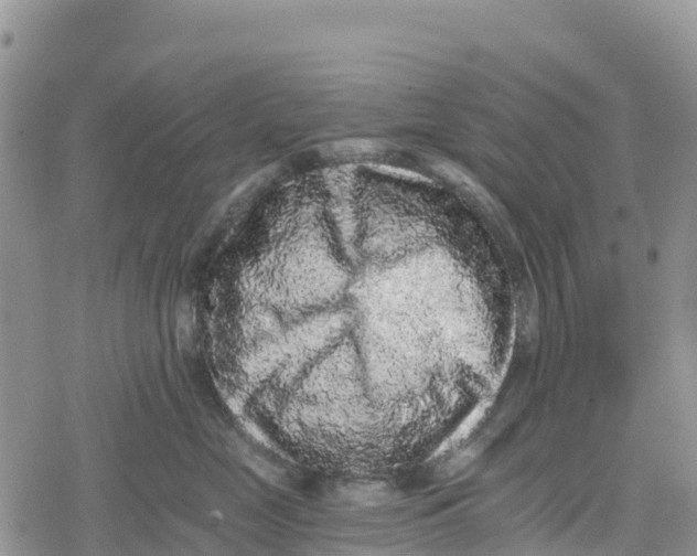 X0000078280669200611251420