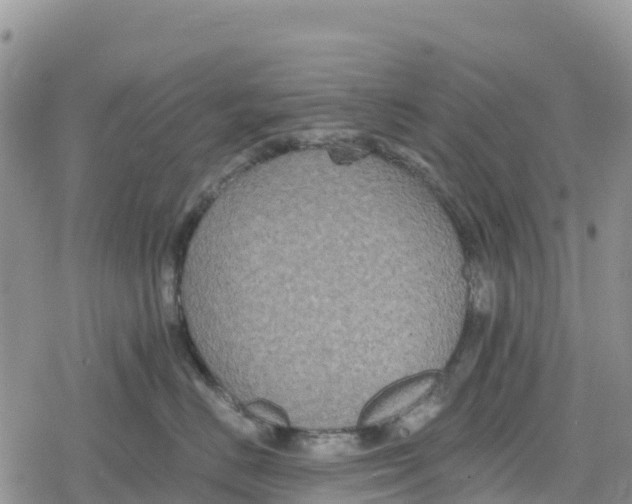 X0000078280670200611251420