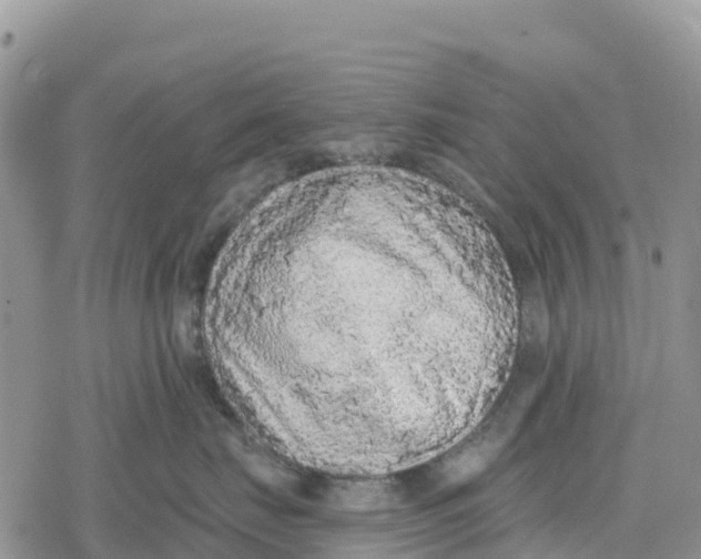 X0000078280671200611251420