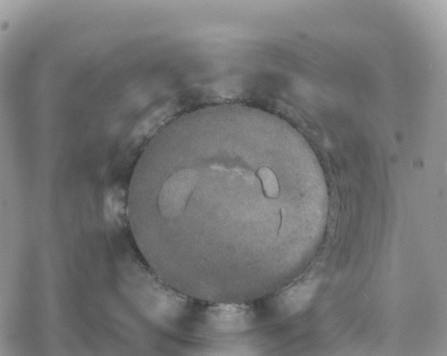 X0000078280672200611251420