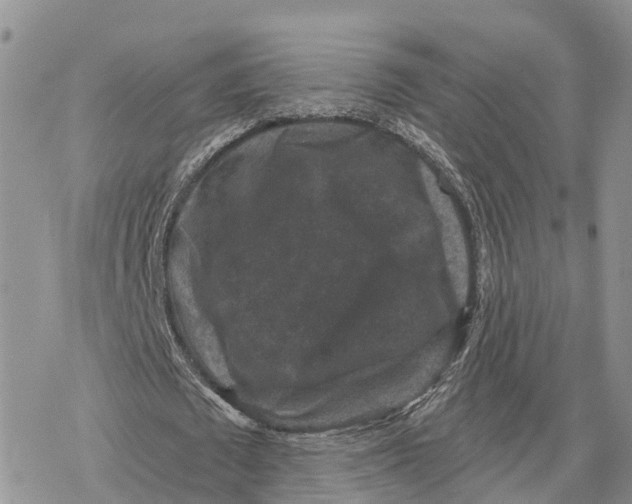 X0000078280673200611251419