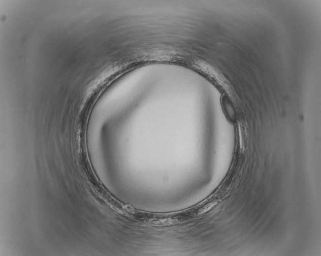 X0000078280675200611251419