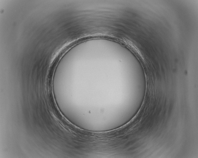 X0000078280676200611251419