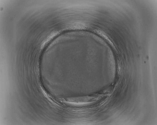 X0000078280677200611251419