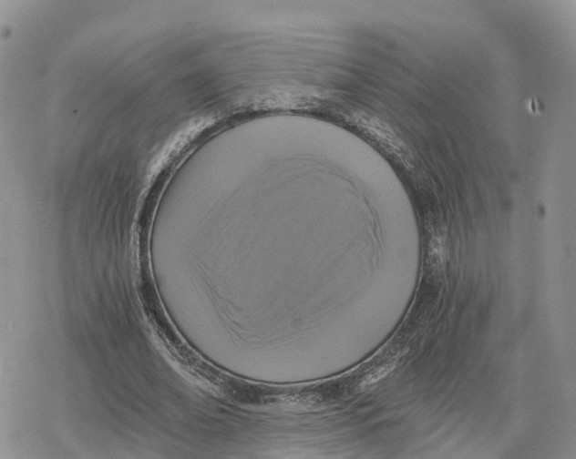 X0000078280678200611251419