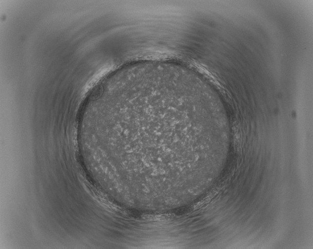 X0000078280679200611251419