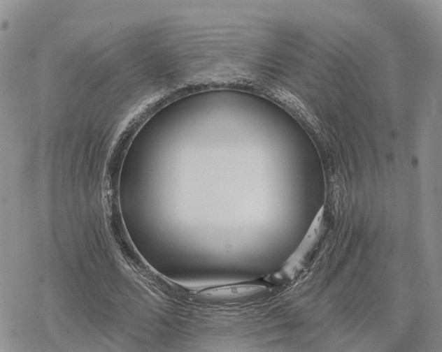 X0000078280680200611251419