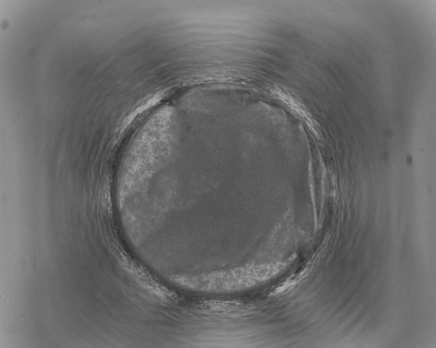 X0000078280681200611251419