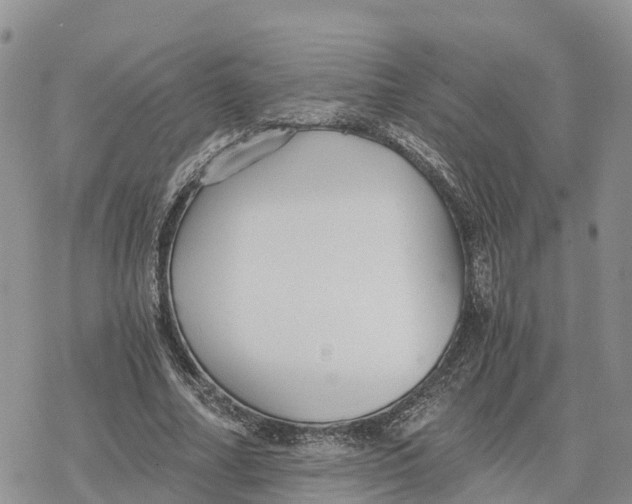 X0000078280682200611251419