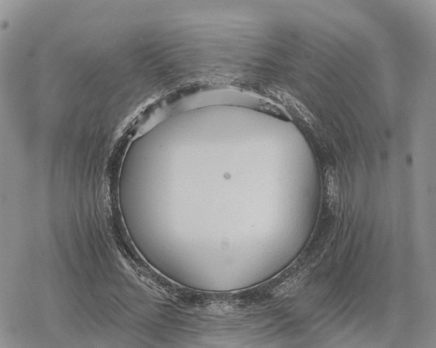 X0000078280684200611251419