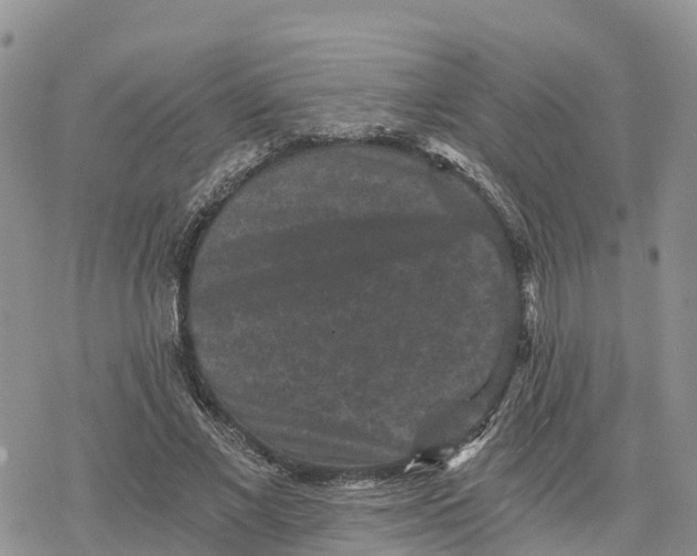 X0000078280685200611251419