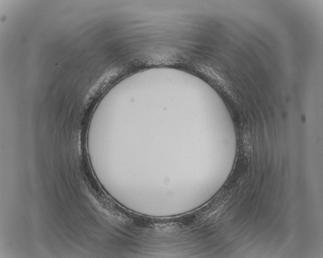 X0000078280686200611251419