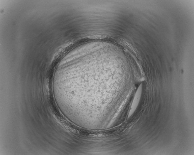 X0000078280688200611251419