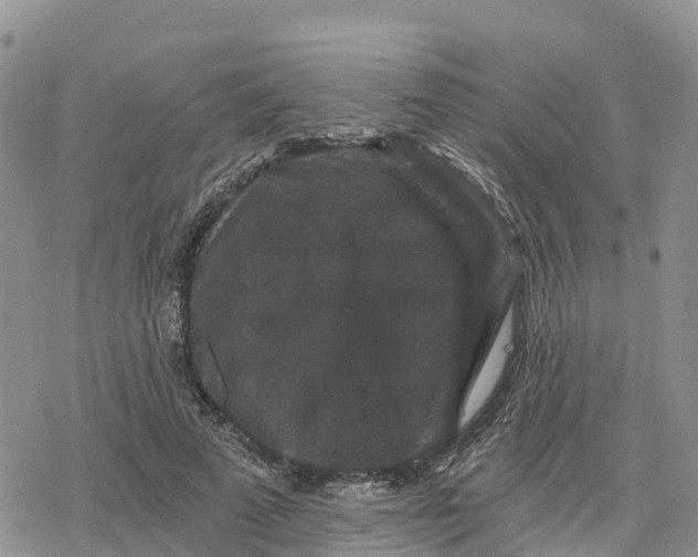 X0000078280689200611251419