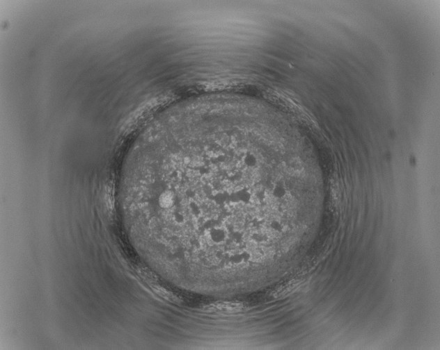 X0000078280691200611251419