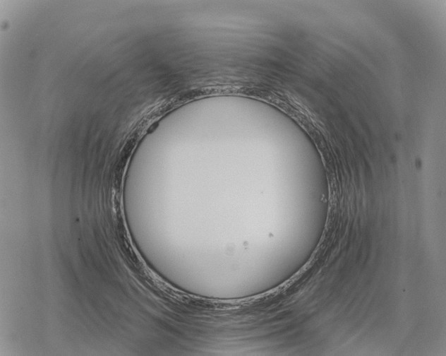 X0000078280692200611251418