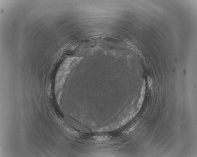 X0000078280693200611251418