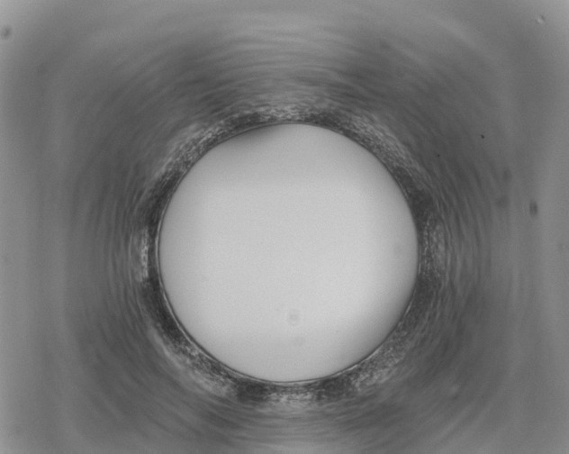 X0000078280694200611251418