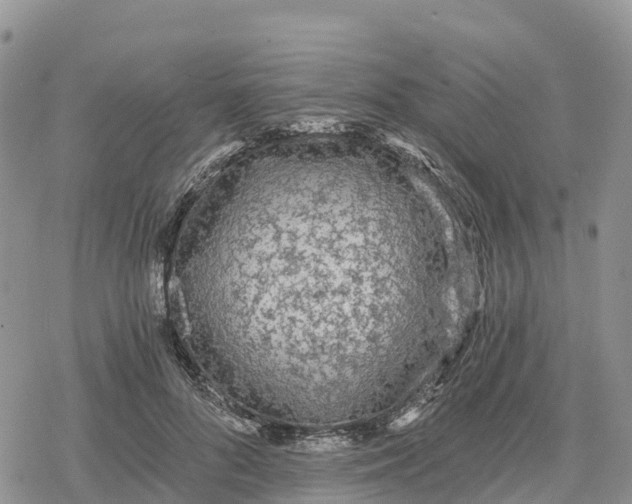 X0000078280696200611251418