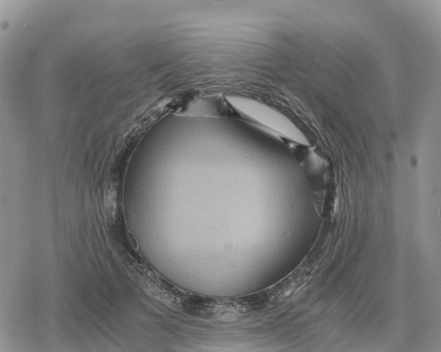 X0000078280697200611251418