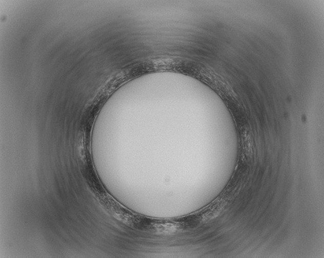 X0000078280698200611251418