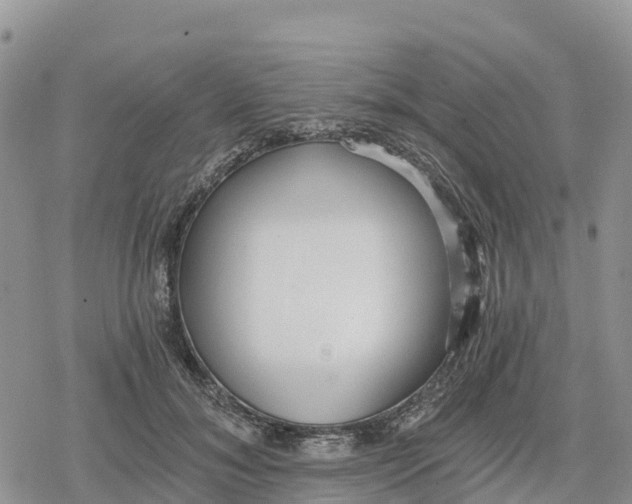 X0000078280700200611251418