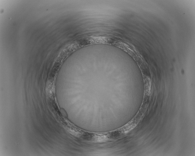 X0000078280701200611251418