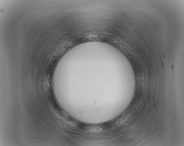 X0000078280702200611251418