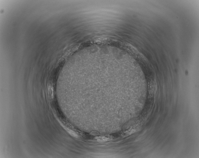 X0000078280703200611251418