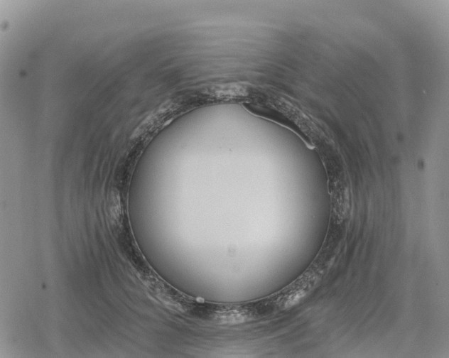 X0000078280704200611251418