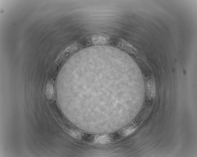 X0000078280705200611251418