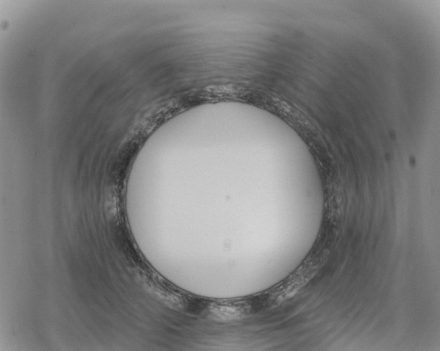 X0000078280706200611251418