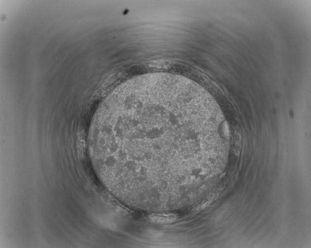 X0000078280707200611251418