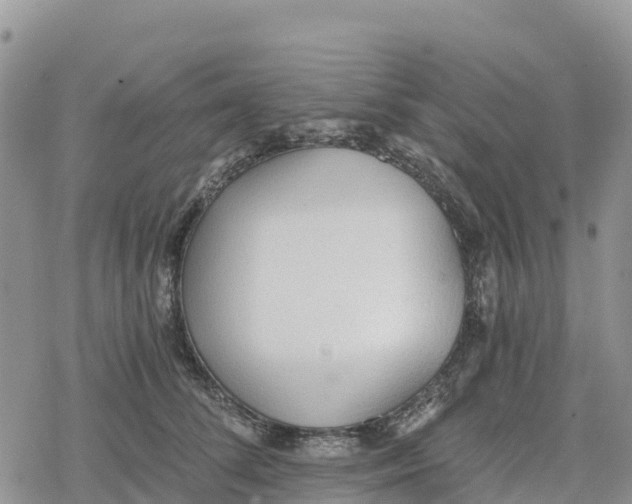 X0000078280708200611251418