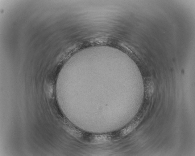 X0000078280709200611251418