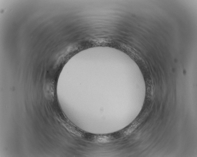 X0000078280710200611251418