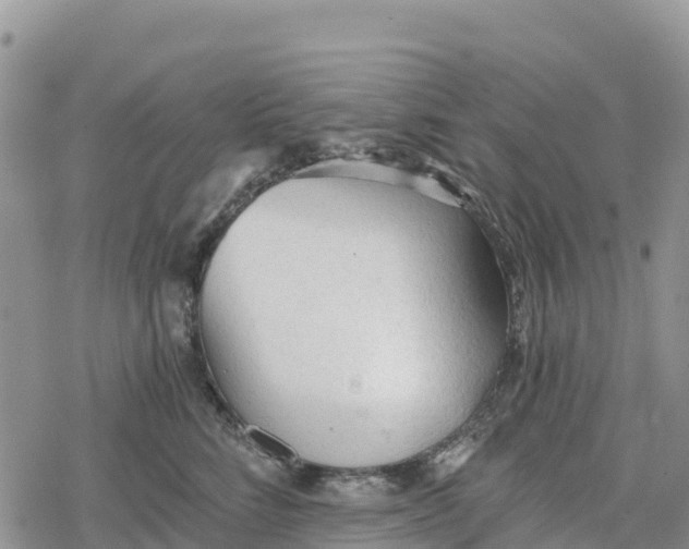 X0000078280712200611251418