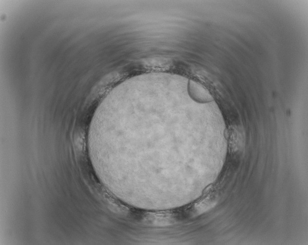 X0000078280713200611251418