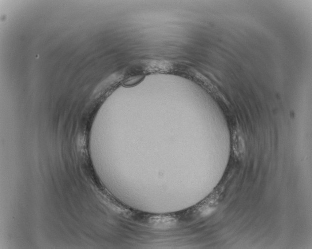 X0000078280714200611251418